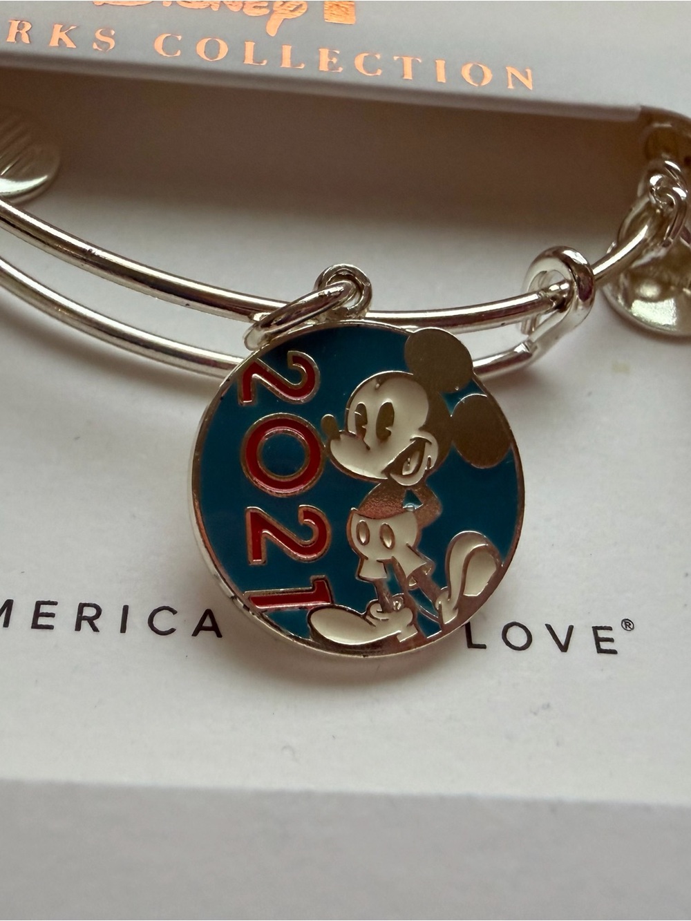 Disney 2021 Alex and Ani Silver Bracelet